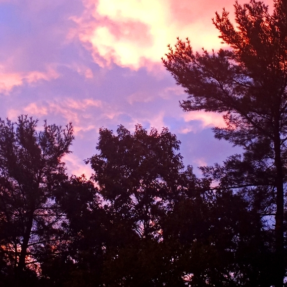 Meet your Posher, Andrea - Picture 1 of 1